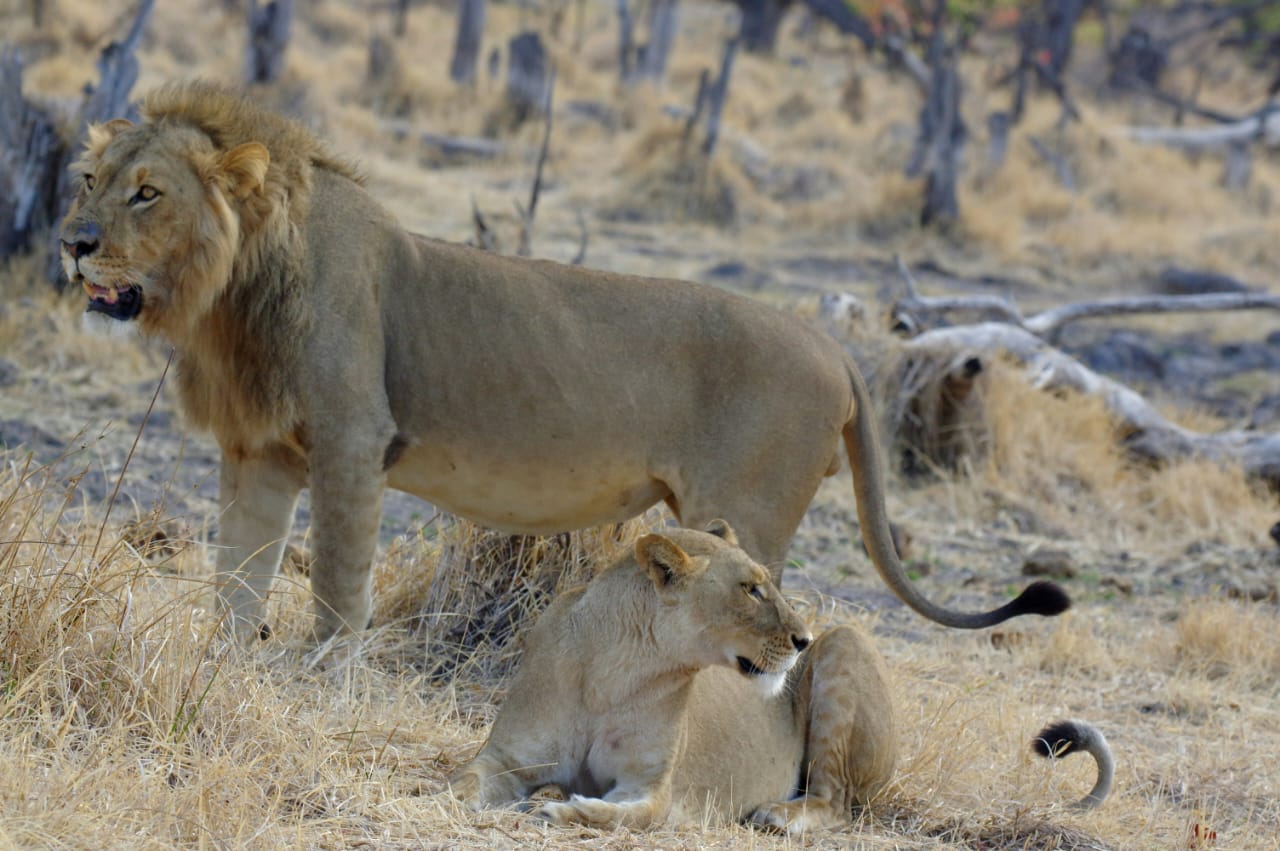 Lake Nakuru National Park