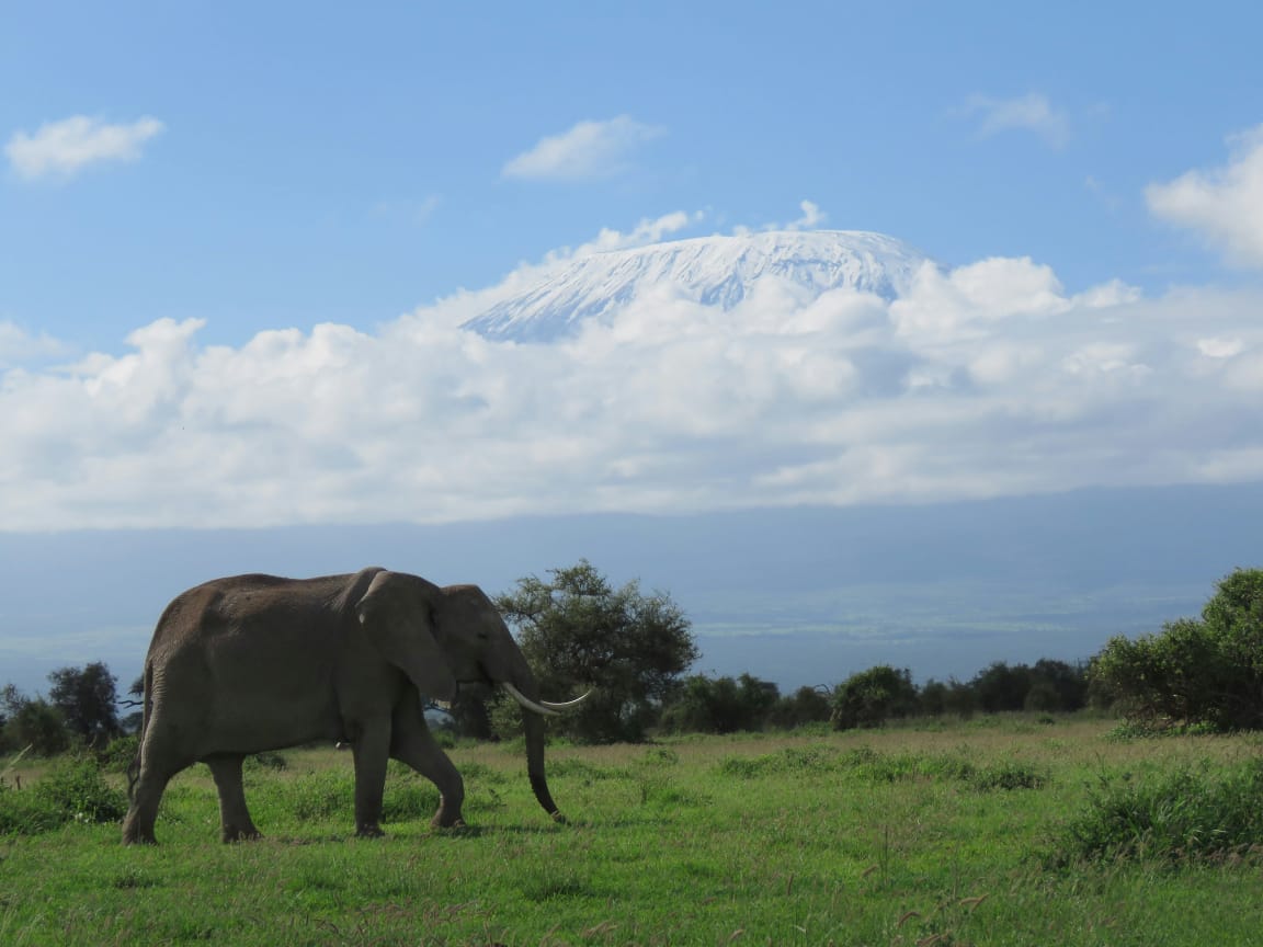 Nairobi National Park