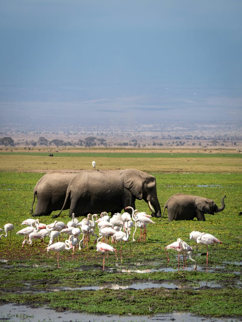 Lake Nakuru National Park