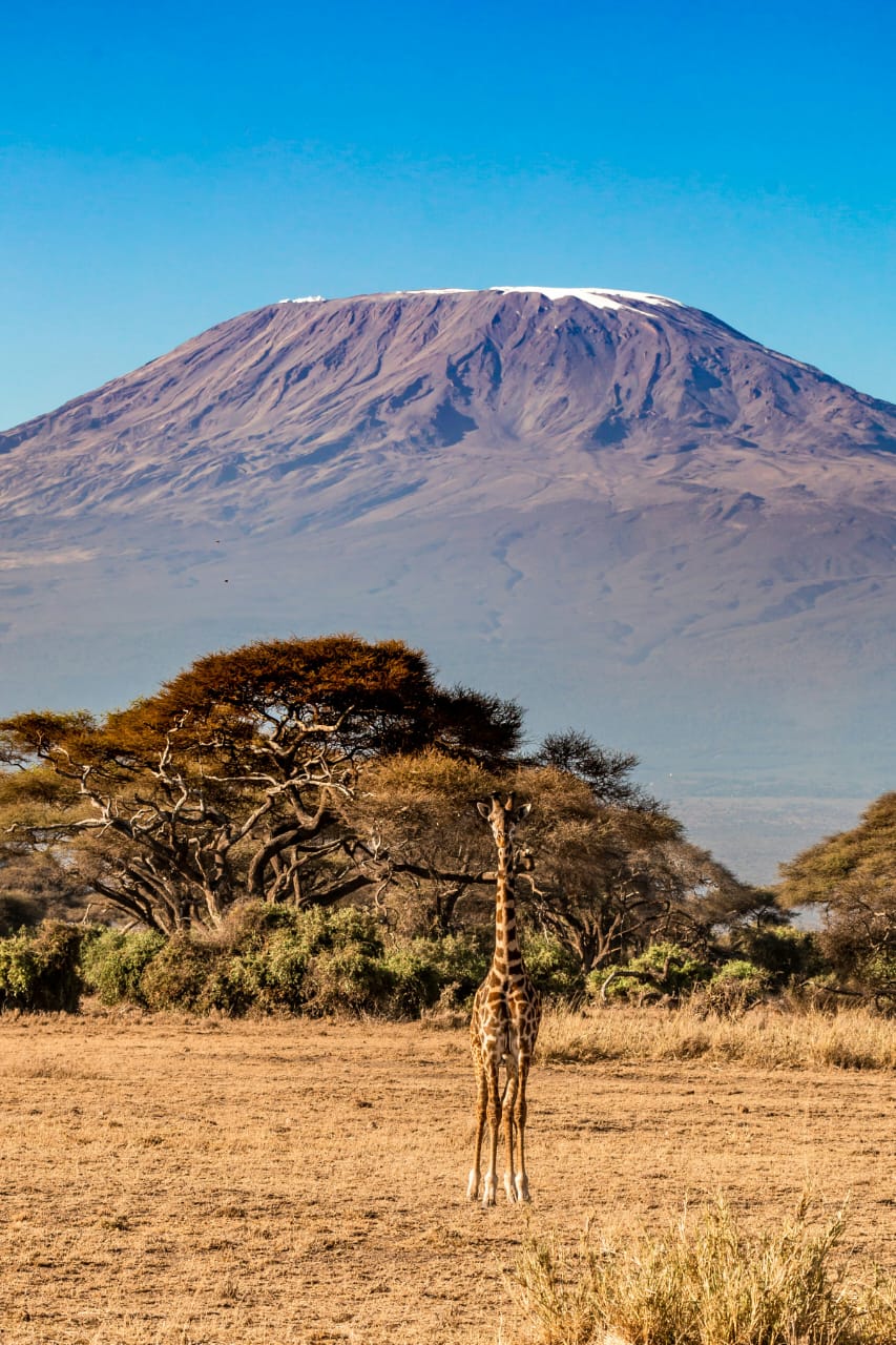 Tsavo