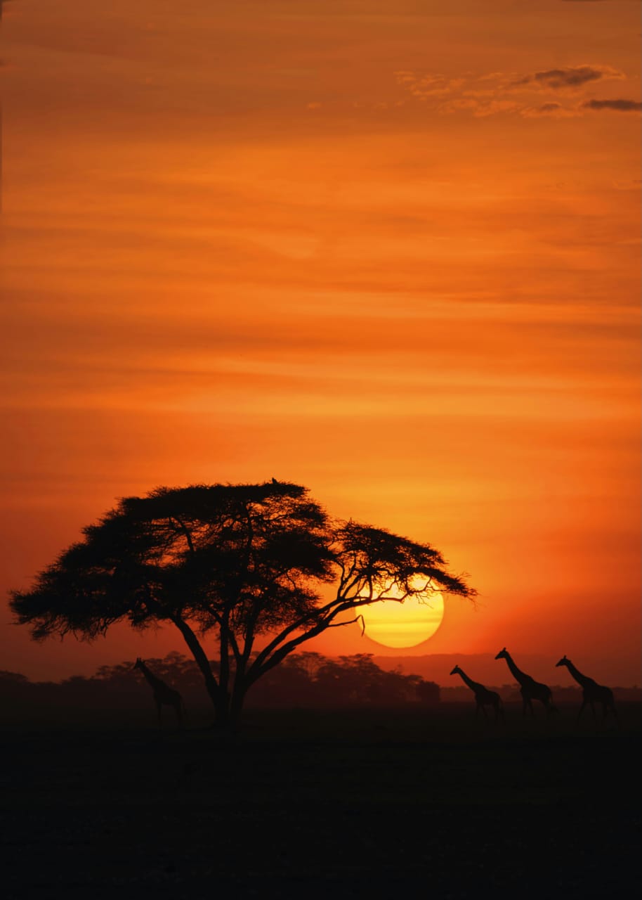 Maasai Mara Safari