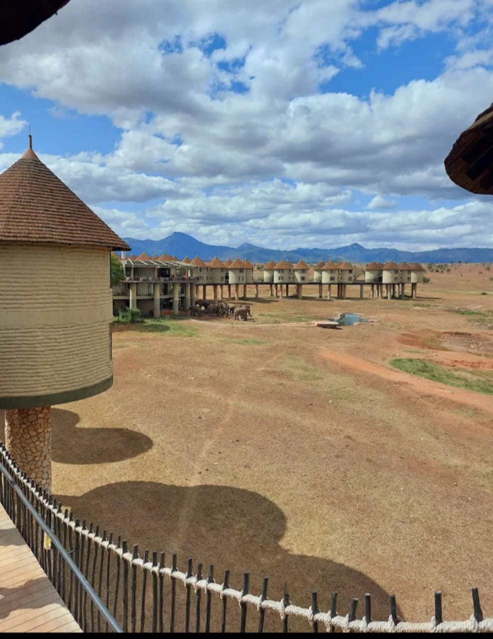 Ngutuni Safari
